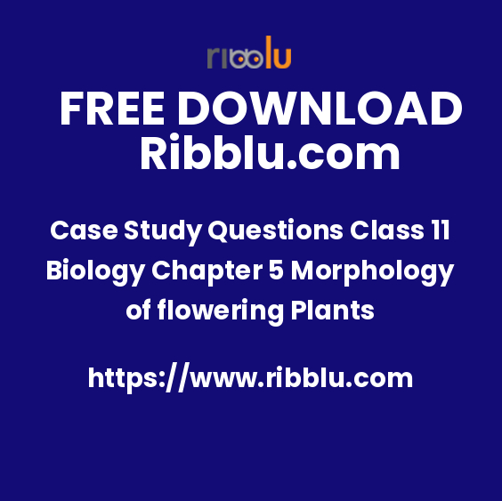 Case Study Questions Class 11 Biology Chapter 5 Morphology of flowering Plants